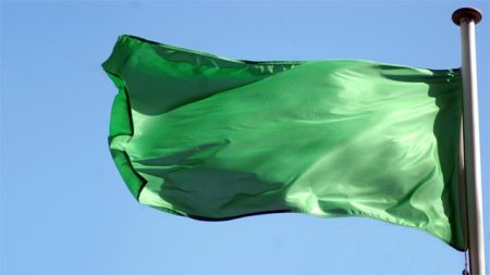 20110320_libya_flag