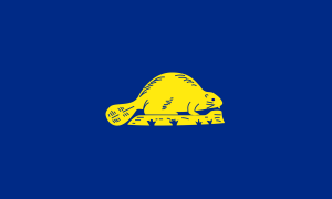 20_Flag_of_Oregon_(reverse)
