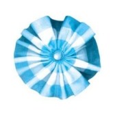 Argentinian cockade.