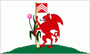 cardiff-flag-3483-p