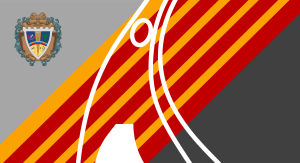 Nueva_Segovia_de_Barquisimeto_Flag