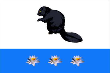 Flag_of_Bobrovka_(Samara_oblast)